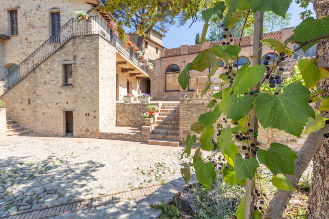 Gh Borgo Pulciano Agriturismo Montone  Exteriér fotografie
